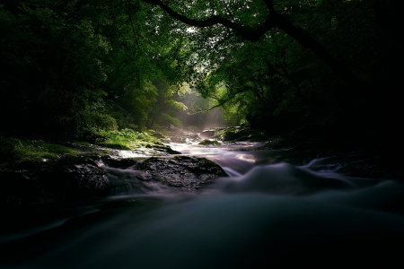 Beauty of nature - river, trees, nature, rocks