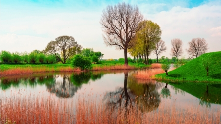 Nature - river, trees, nature, green, grass, reflection