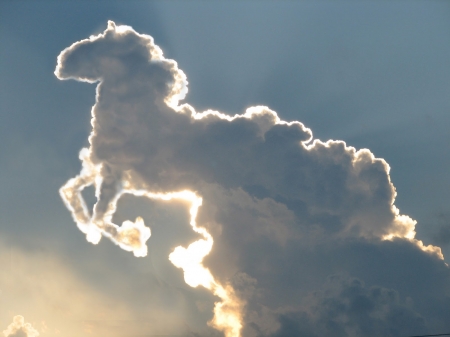 The horse - white, sky, horse, cloud, blue, fantasy, creative