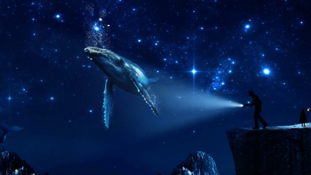 Dream - stars, blue, white, creative, sky, fantasy, whale, dream, luminos, man