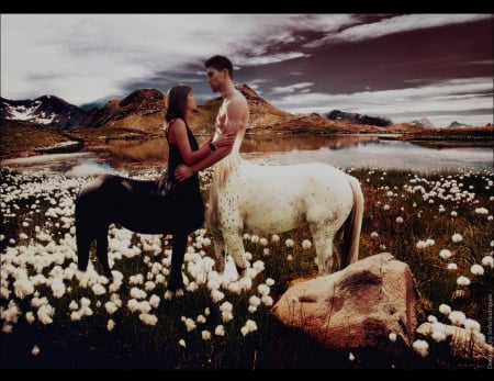 Centaur Love - flowers, centaur, fantasy, love