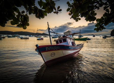 Sunset on Marina - water, boat, leaves, sea, twigs