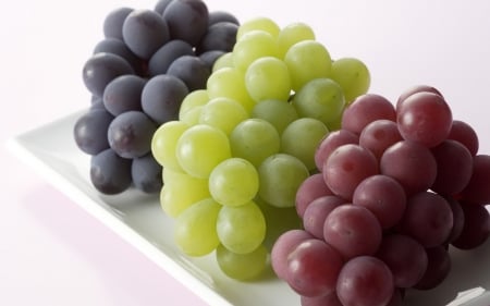 Colors Of Grape