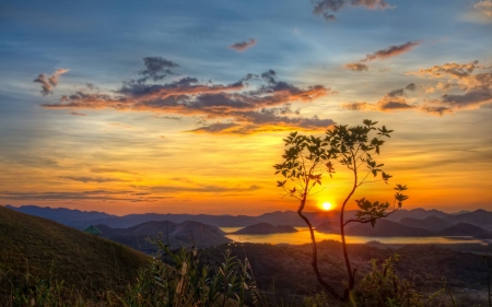 Amazing Sunset - tree, nature, sunset, sun