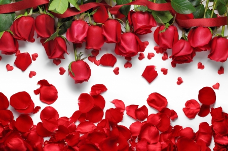 Roses With Love - roses, white, red, ribbon, love, petals, hearts