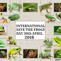 INTERNATIONAL SAVE THE FROGS DAY