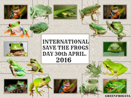 INTERNATIONAL SAVE THE FROGS DAY - image, creation, abstract, frogs