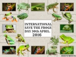 INTERNATIONAL SAVE THE FROGS DAY