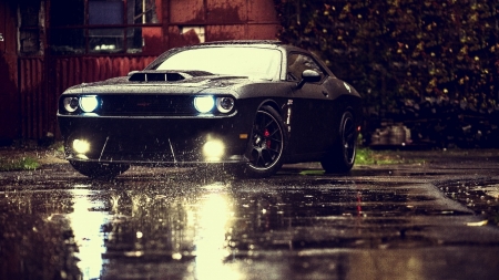 Dodge Charger - street, charger, car, auto, dodge