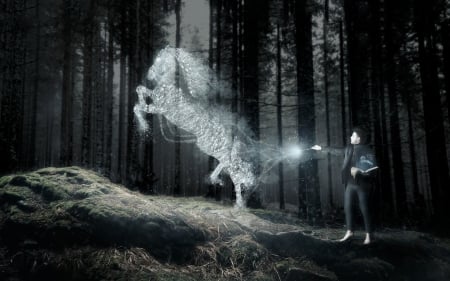 To be a horse - black, fantasy, forest, magical, man, creative, horse