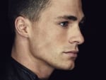 Colton Haynes