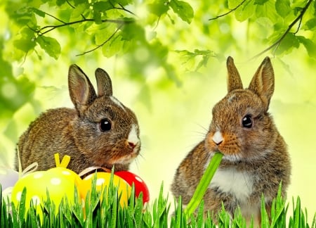 Easter bunnies - pretty, spring, branches, eggs, grass, easter, holiday, freshness, friends, rabbits, tree