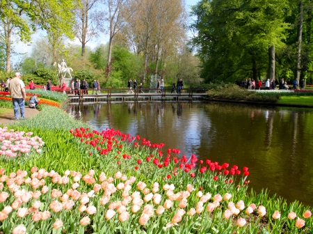 Keukenhof, Netherlands - trees, blossoms, people, river, tulips, spring