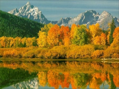 Autumn Forest - nature, autumn, lake, trees, forest, reflection, mountains