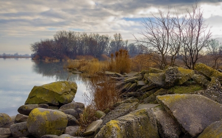 Bacau II Lake - lake, forest, cool, fun, nature