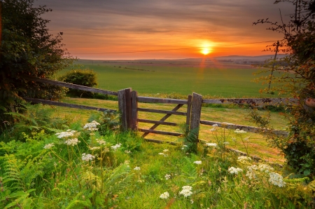 Summer field at sunrise - morning, rays, sky, fence, sunshine, sunlight, summer, field, meadow, sunset, glow, beautiful, grass, sunrise, wildflowers