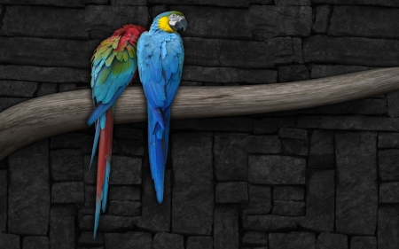 Macaws - parrots, wallpaper, birds, macaws