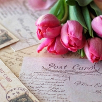 Postcard and Tulips