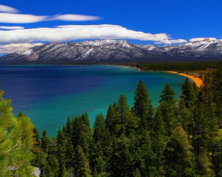 Panoramic View Lake Tahoe - firs, california, beach, landscape, clouds, mountains