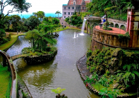 Portugal, Romantic Garden - house, water, pond, plants, palmtree