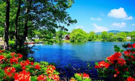 Blue Lake - nature, lake, flowers, trees