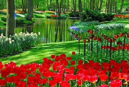 Keukenhof, Netherlands - flowers, river, tulips, trees, blossoms, spring, park