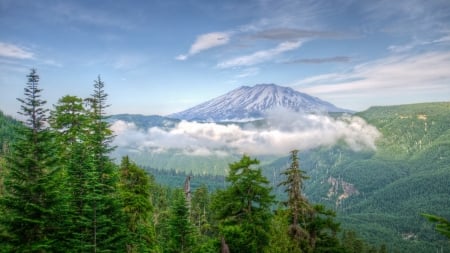 mountain and vast forest in washington hdr - clouds, forests, hdr, mountain, sky