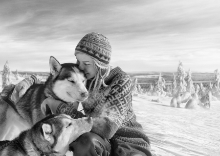 fun - nature, fund, cold, snow, winter, alaskan husky, dogs, bw