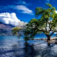 Lake-Wakatipu-Queenstown-New-Zealand