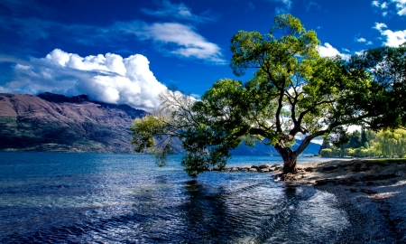 Lake-Wakatipu-Queenstown-New-Zealand - nature, lake, trees, new zealand