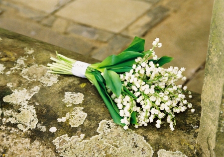 Lily of the Valley - bouquet, flowers, blossoms, still life