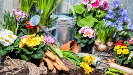 Garden Ready - water acan, floral, gardner, work, flowers, gloves, garden