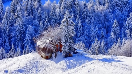 house on a mountain in winter - house, winter, forest, mountain