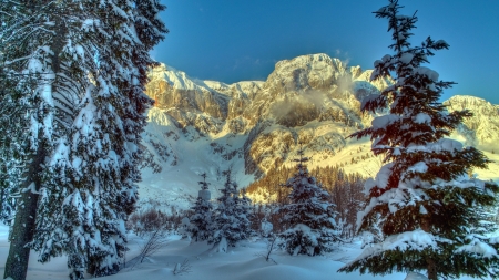 beautiful austrian alps in winter hdr - trees, sunlight, winter, hdr, mountains, cliffs