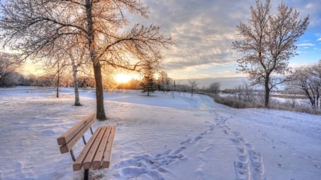 park bench in a wintry sunrise hdr - trees, winter, oark, hdr, bench, sunrise