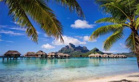 Paradise - beach, sky, ocean, paradise, palms, summer, nature, clouds, summer time, sea, tropical beach