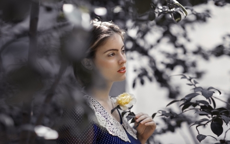 Softness Beauty - pretty, trees, model, girl, beauty, flower