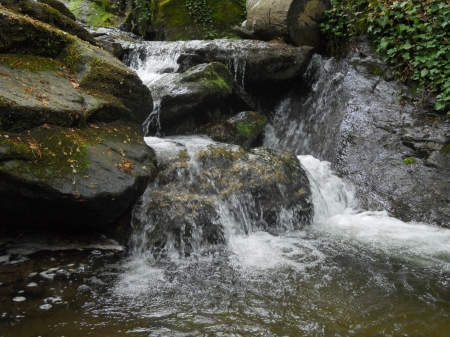 Waterfall 1 - stone, water, beautiful, grass, forest, waterfall, hide, gorgeous, nice