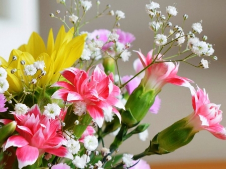 Flowers - yellow, beauty, colors, freshness, petals, pink, flowers, white, nature, carnations, background, floral