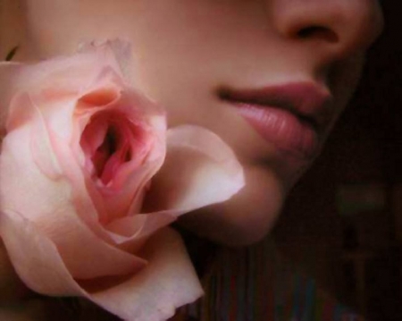 pink rose and lips