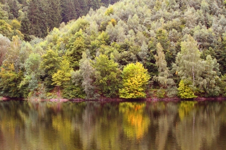 Autumn Foliage - colorful, Autumn, nature, forrest, lake, leaves