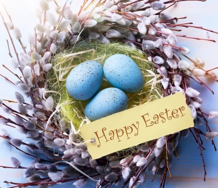 Happy Easter! - nest, blue, easter, green, card, egg