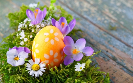 Happy Easter! - wood, flower, pink, orange, easter, white, green, egg, card, crocus