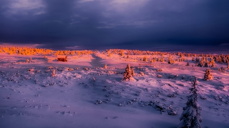 sunset glow over a farm in winter hdr - farm, glow, winter, trees, sunset, hdr