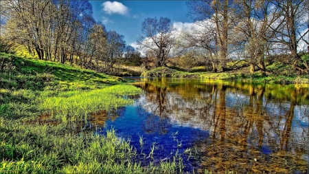 wonderful stream hdr - reflections, trees, hdr, stream, grass, sky