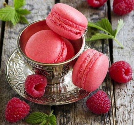 Sweet Pink - beautiful, photography, cool, pink, still life, sweet