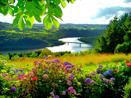 River View - River, Hills, Nature, Flowers