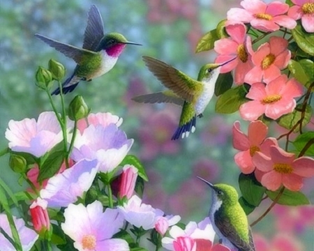 Garden Visitors - hummingbirds, birds, summer, spring, colors, flowers, cute, love four seasons, animals