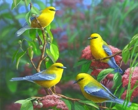 Summer Melodies - summer, love four seasons, animals, cute, flowers, spring, colors, birds