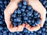 Blueberries heart